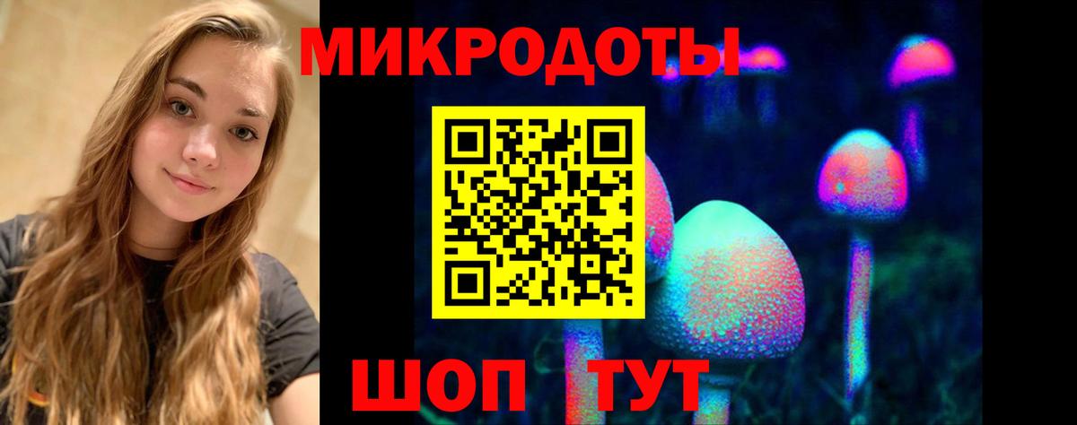 Псилоцибиновые грибы Psilocybine cubensis Орёл